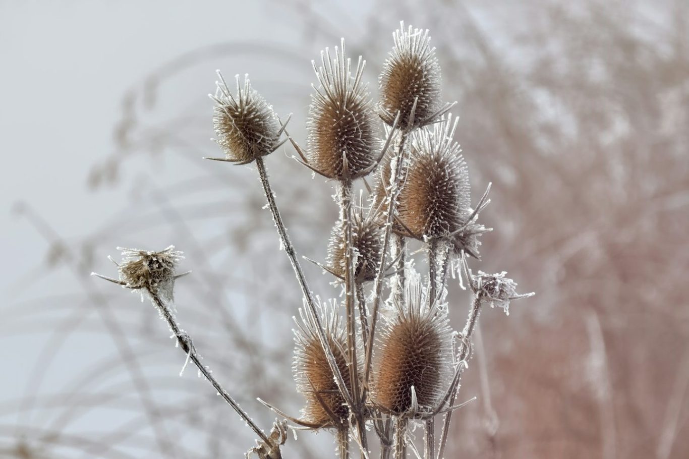 Symbolbild für Workshops zu kindlicher Trauerarbeit und pädagogischer Begleitung